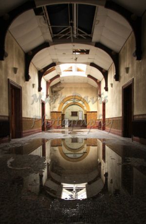 reflected admin.jpg